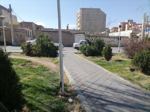 عکس پارک کاج