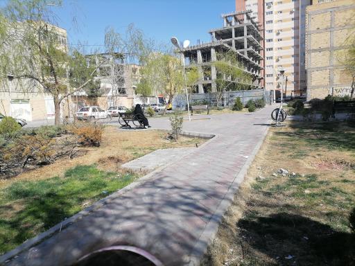 عکس پارک کاج