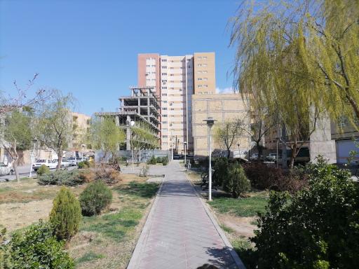 عکس پارک کاج