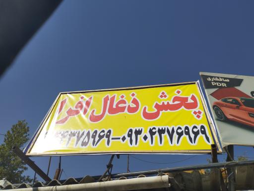 عکس پخش ذغال افرا