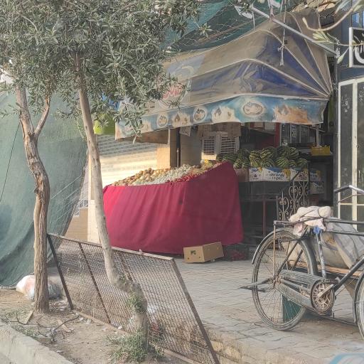 عکس هایپر میوه یاسین