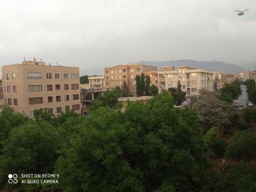 عکس مجتمع تاکسیرانی