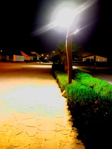 عکس پارک مرجان