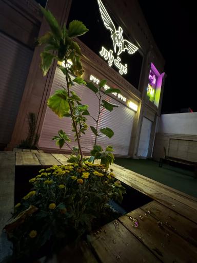 عکس مجموعه ورزشی فیت پاور