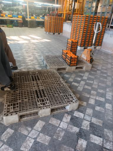 سورتینگ بسته بندی گنجی