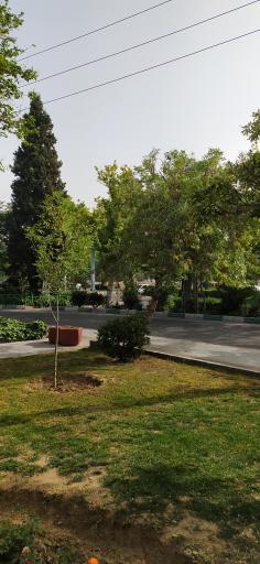 عکس بوستان پرستو