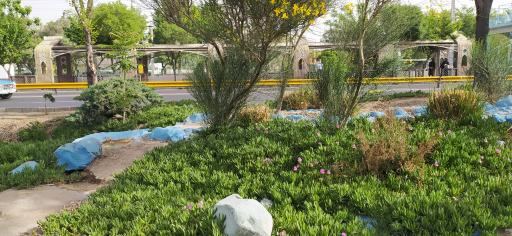 عکس بوستان پرستو