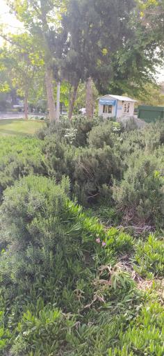 عکس بوستان پرستو