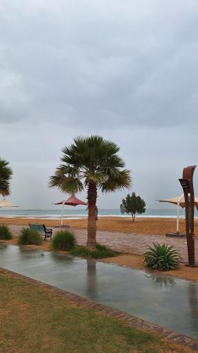 عکس پارک مرجان