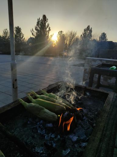 عکس پارک بزرگ شهر اشکذر