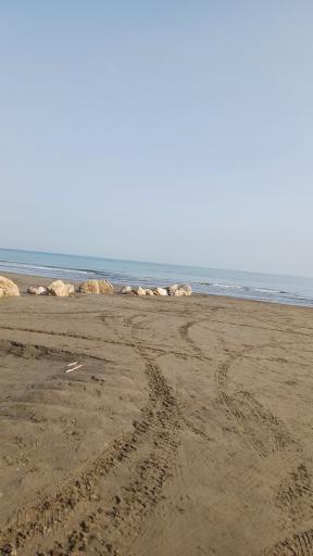 عکس ساحل آفاق