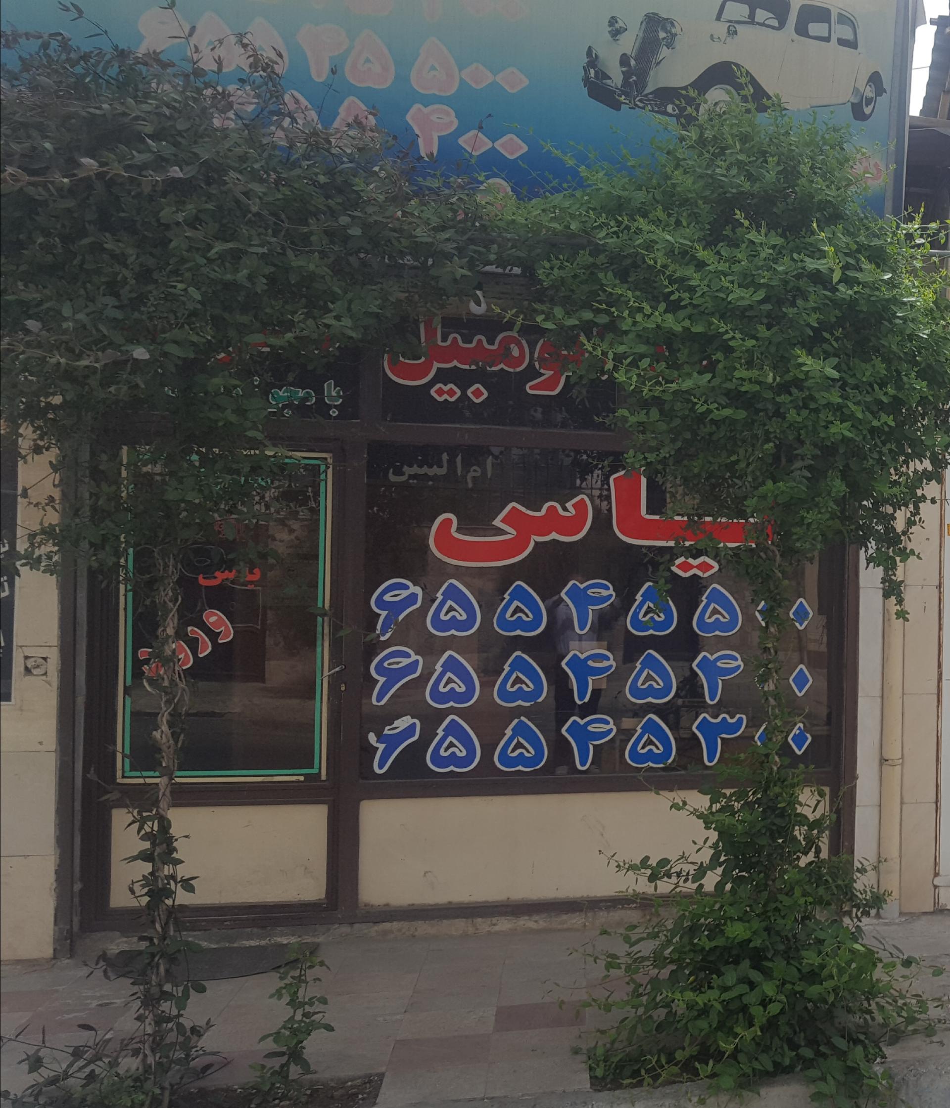 عکس تاکسی سرویس یاس