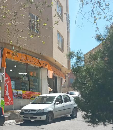 هایپر پروتیین حسنخانی