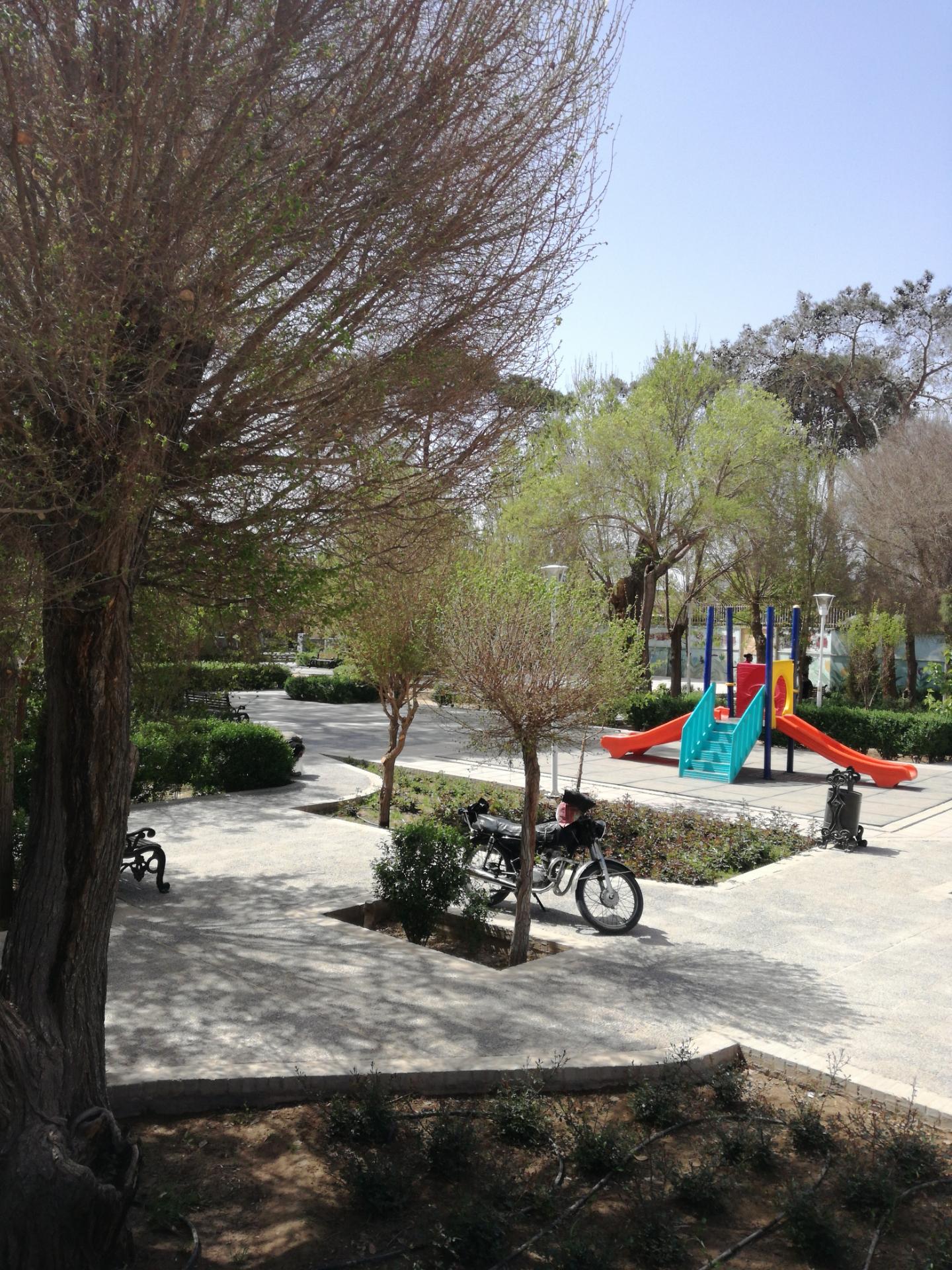 عکس پارک باغ گل گندم