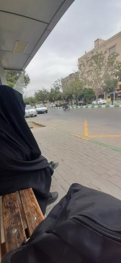 عکس  چمن 5