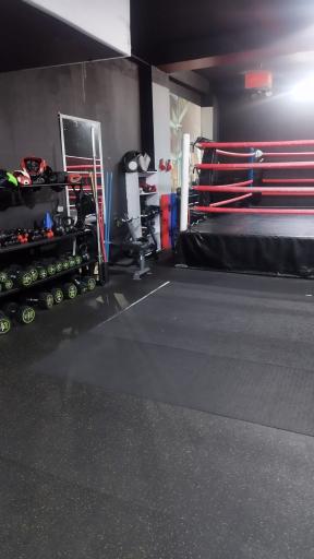 عکس Club Box  باشگاه بوکس بهروز اکسون