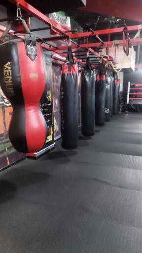 عکس Club Box  باشگاه بوکس بهروز اکسون