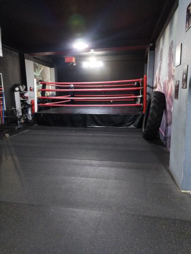 عکس Club Box  باشگاه بوکس بهروز اکسون