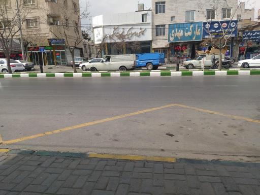 عکس  چمن 5
