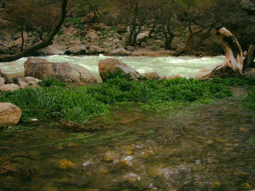 عکس چشمه باغ رستم