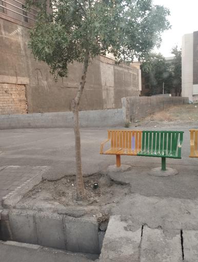 عکس  جانباز 2