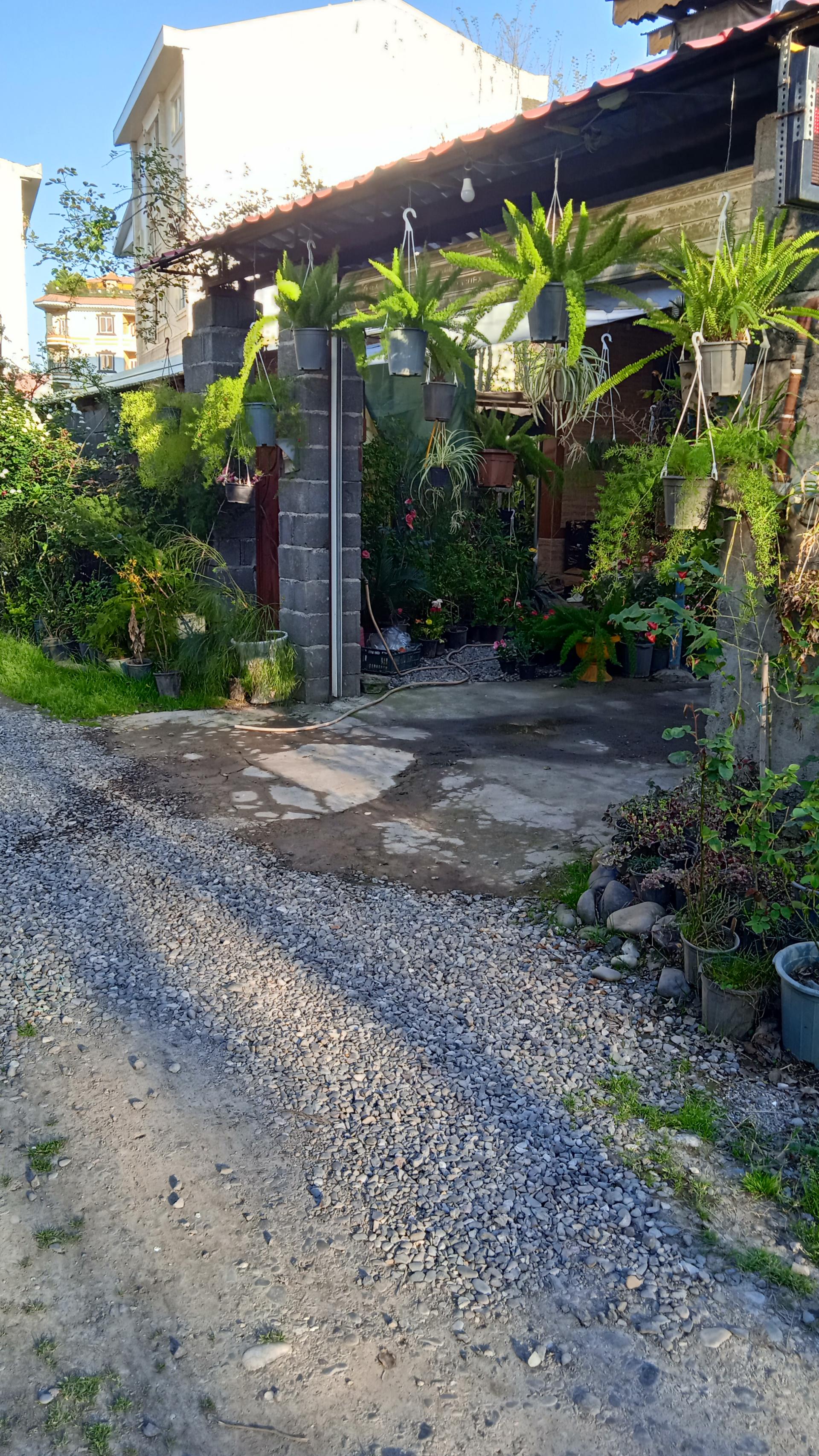 عکس گلسرای چهار فصل محمد مهدی 