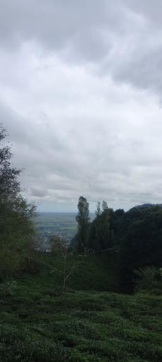 عکس تله کابین لاهیجان