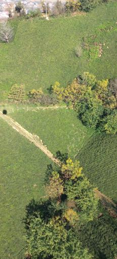 عکس تله کابین لاهیجان