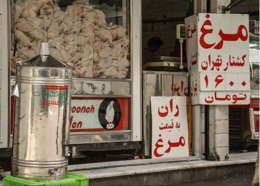 عکس مرغ روز