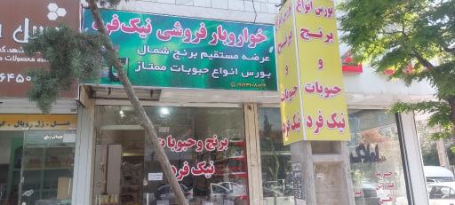 عکس خواربار نیک فرد