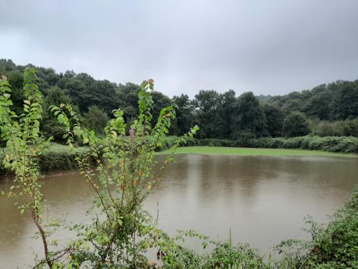 عکس آب بندان کشاورزان