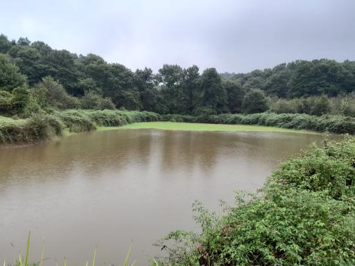 عکس آب بندان کشاورزان