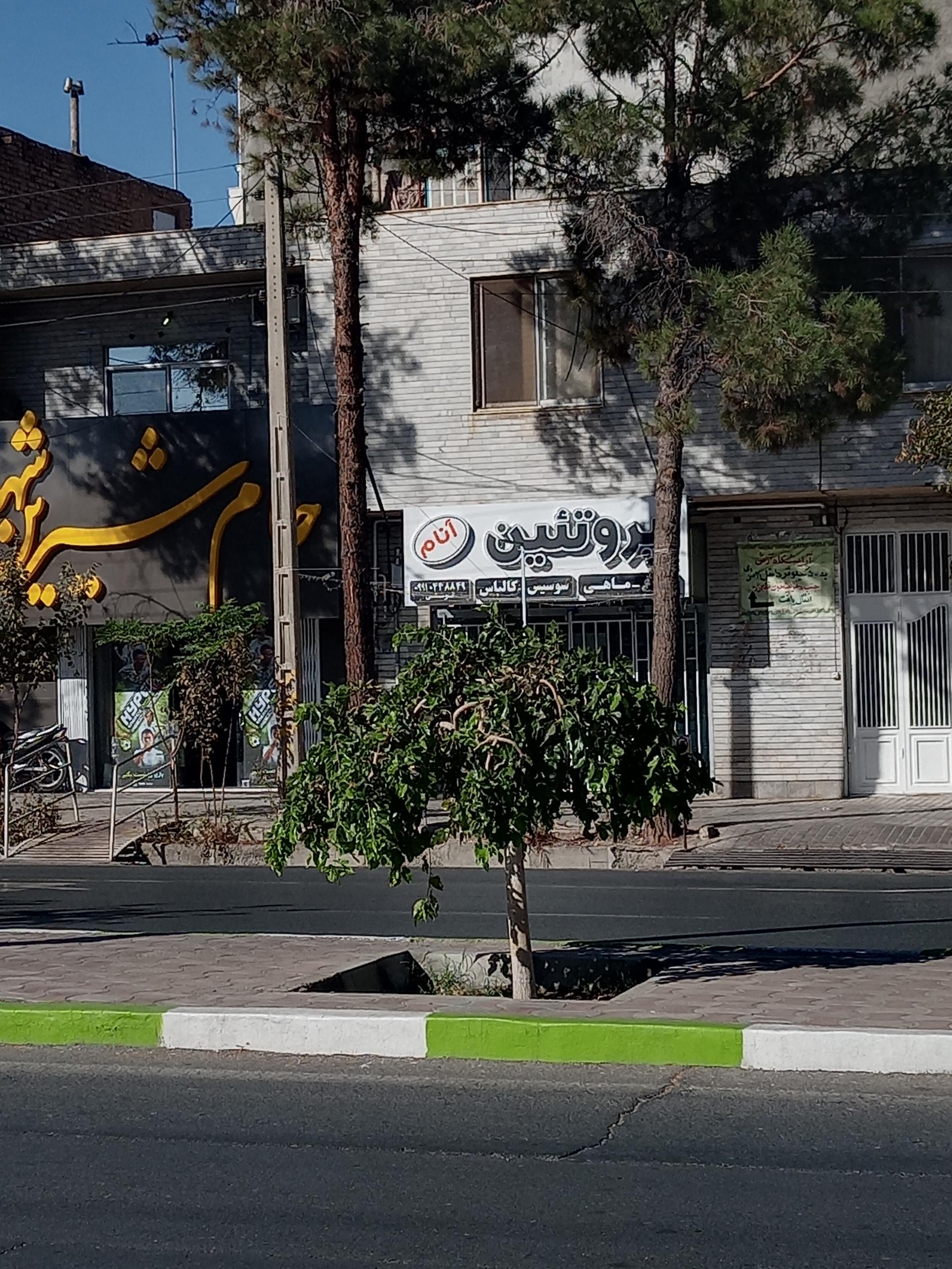 عکس فروشگاه پروتینی آنام