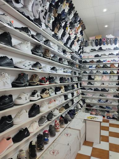 عکس گالری کفش شهریار 