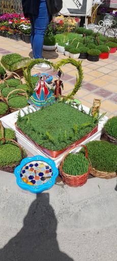 عکس گل فروشی شادی