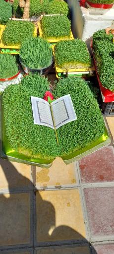 عکس گل فروشی شادی