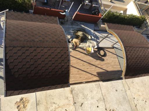 عکس خمکاری هاشمی