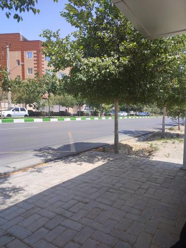 عکس  تقاطع نماز