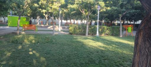 عکس بوستان زیتون