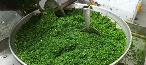 عکس فروشگاه سبزیجات اماده و محصولات ارگانیک گنج سبز