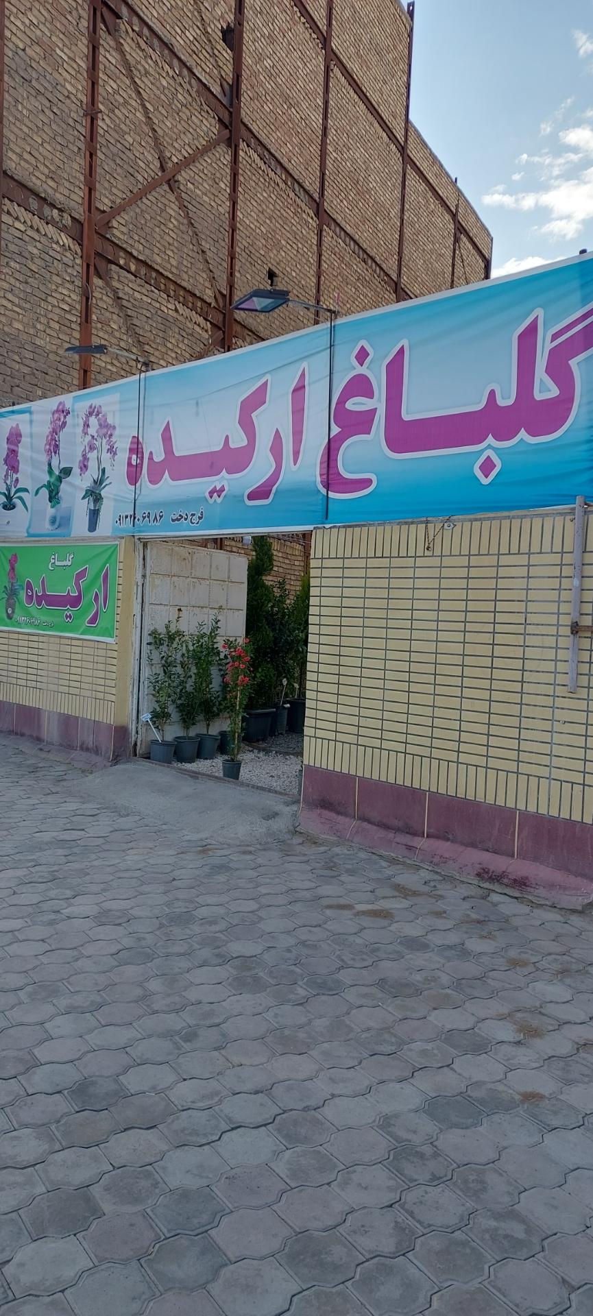 عکس گلباغ ارکیده کاشان