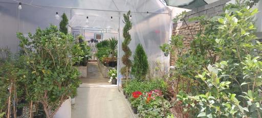 عکس گلباغ ارکیده کاشان