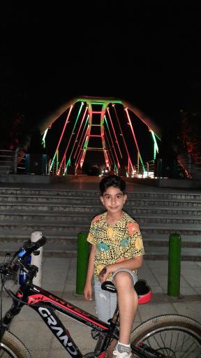 عکس پل قلم کار