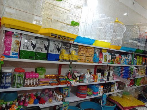 عکس پت شاپ امیر