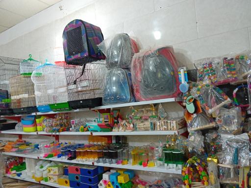 عکس پت شاپ امیر