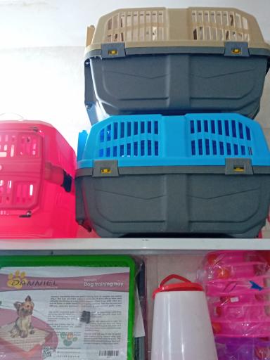 عکس پت شاپ امیر