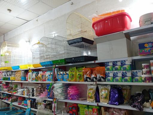 عکس پت شاپ امیر