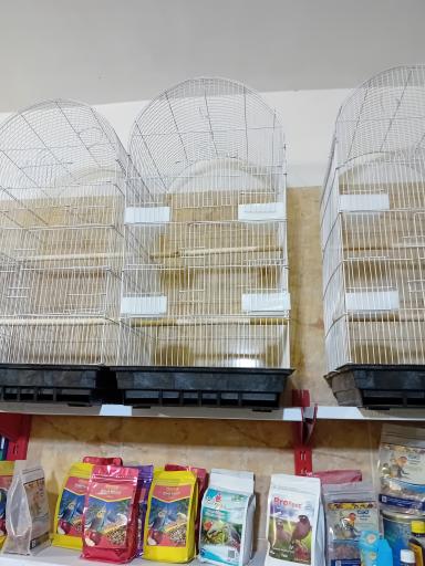 عکس پت شاپ امیر