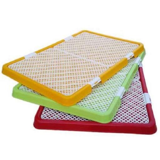 عکس پت شاپ امیر