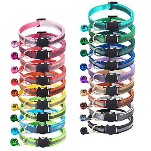 عکس پت شاپ امیر